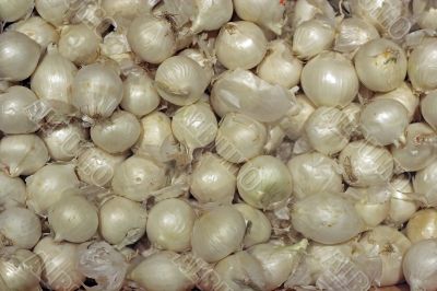 Pearl Onions