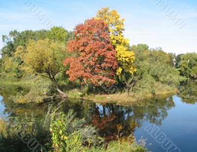 landscape in the autumn
