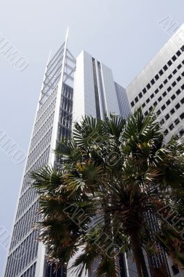 Office Building