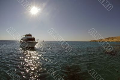 White ship