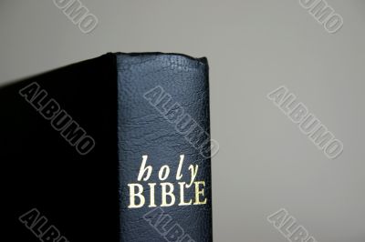 holy bible details