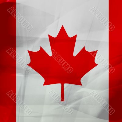 flag of national
