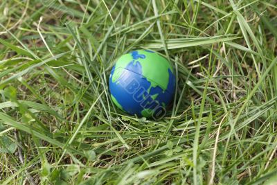 globe in the grass