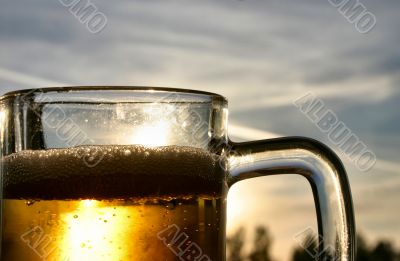 pint of beer