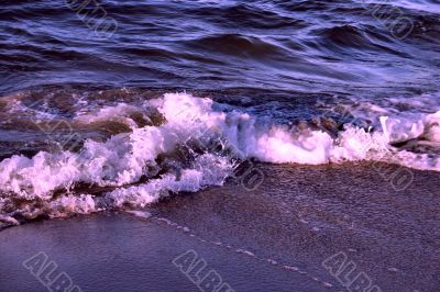 purple wave