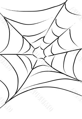 Halloween Spider Web Illustration