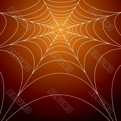 spooky spiders web