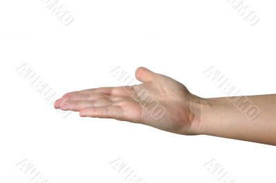 female hand