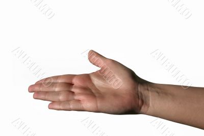 female hand
