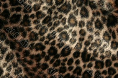 panther pattern
