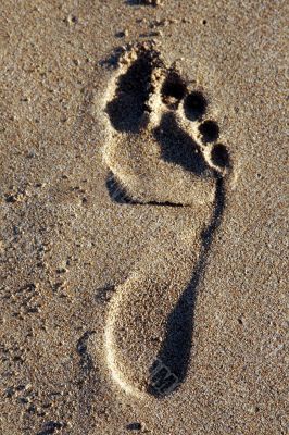 Footprint