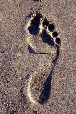 Footprint