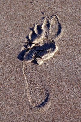 Footprint