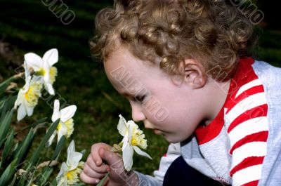 Smelling the Flowers