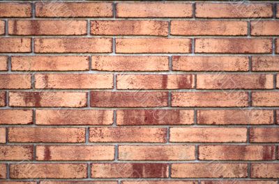 Brick Wall