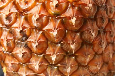 Pineapple close-up