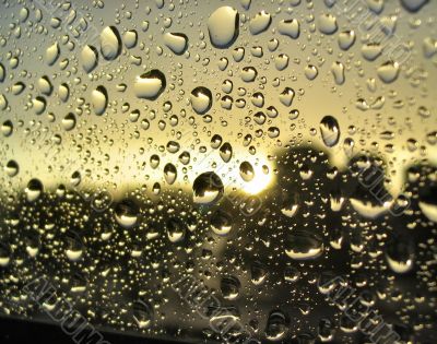Stormy droplets
