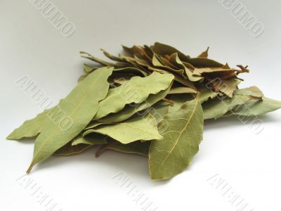 bay leaves pile