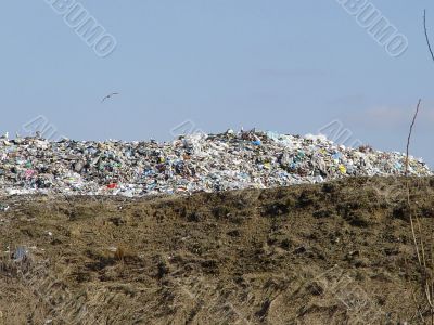 dumping ground
