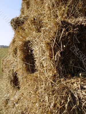 hay stack