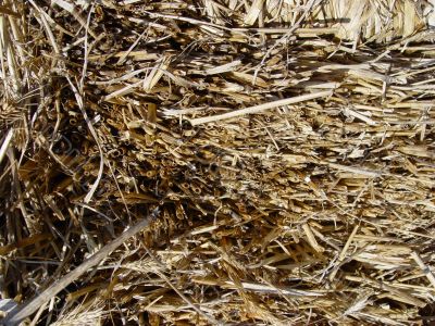stack of hay