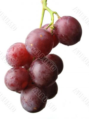 grape bunch