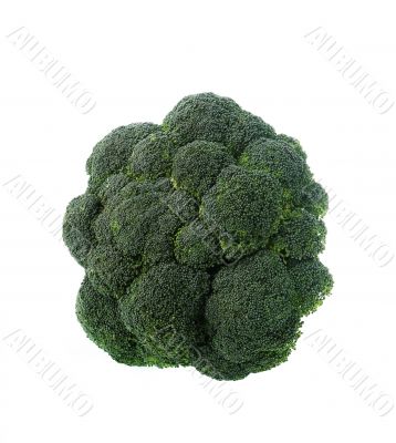 Broccoli