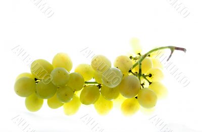 grapes