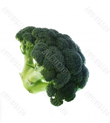 Broccoli