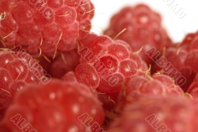 raspberry