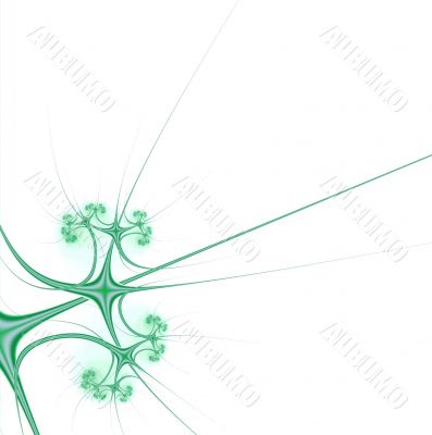 stylish tendrils of plants