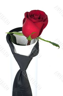 rose and tie