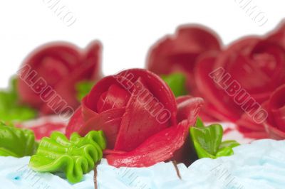 rose with leaves from cream