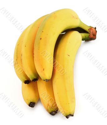bunch of ripe bananas