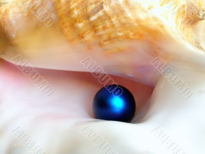 blue pearl