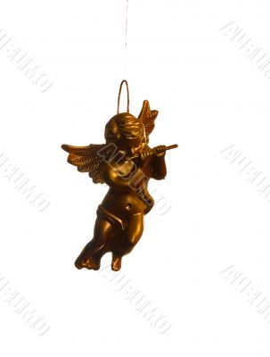 goldish angel