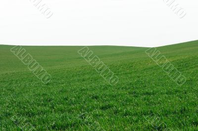 Field
