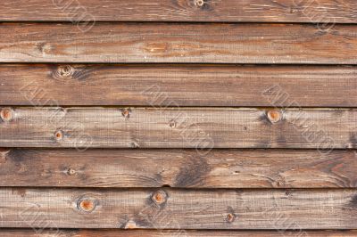 Wood Texture