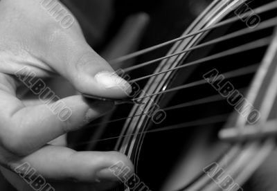 Guitar