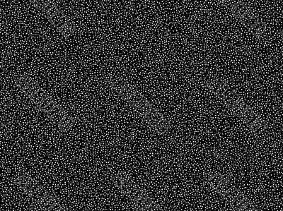 black and white tiny grain