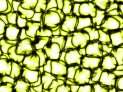 lemon quench abstract