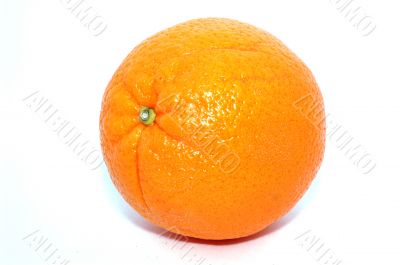Large orange isolated on a white background.