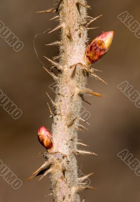 The beginning of a new life