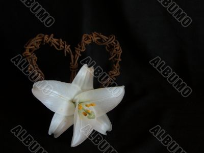 Lily with Rusted Barbed-Wire Heart