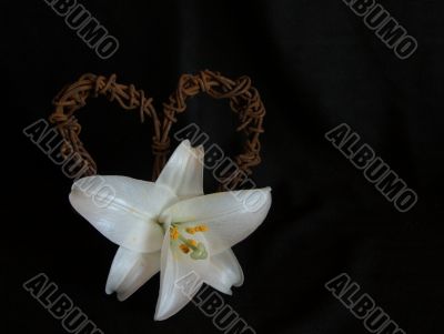 Lily with Rusted Barbed-Wire Heart