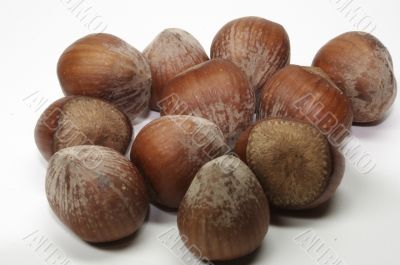 Nuts
