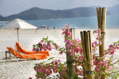 beach scene