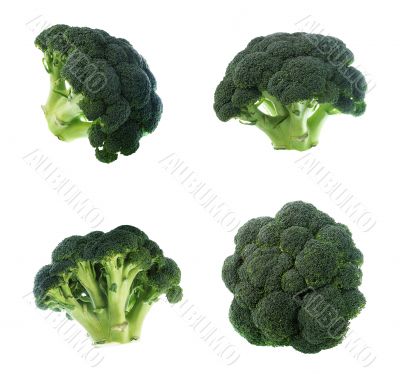 Broccoli