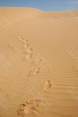 footprints on the sand