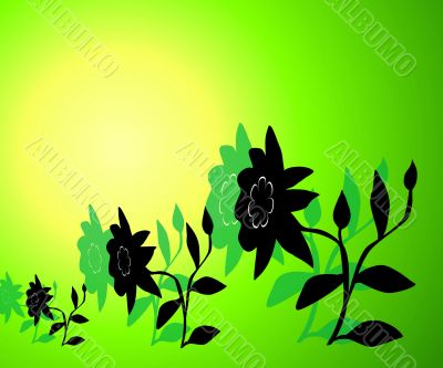 Abstraction floral picture